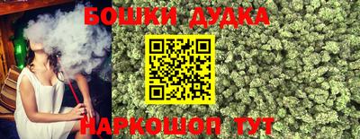 шишки Будённовск