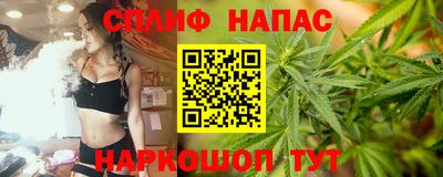 шишки Будённовск
