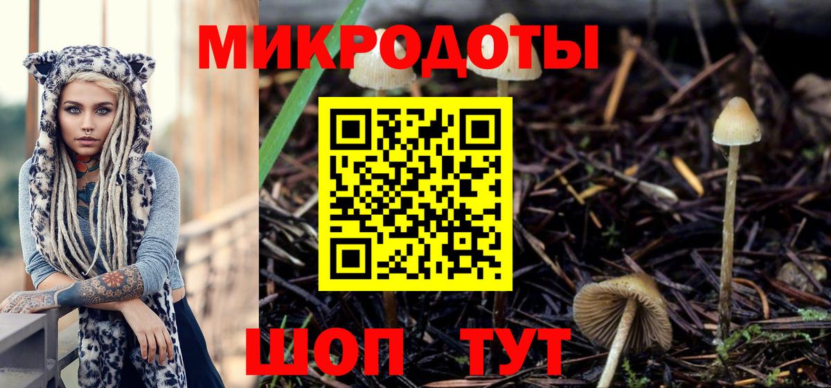 Рославль  Галлюциногенные грибы Cubensis  Вход с VPN  Галлюциногенные грибы Psilocybine cubensis 