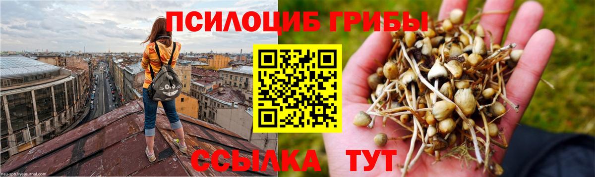 Псилоцибиновые грибы Magic Shrooms Рославль
