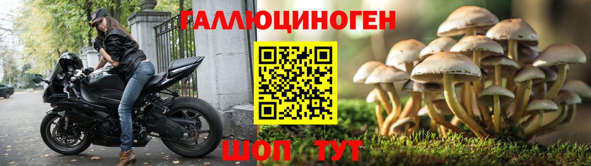 Экстази Рославль